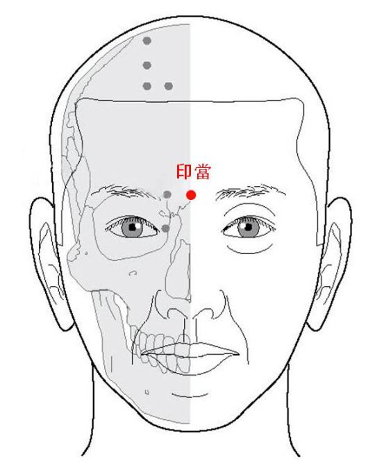 얼굴 혈자리를 표시한 선화